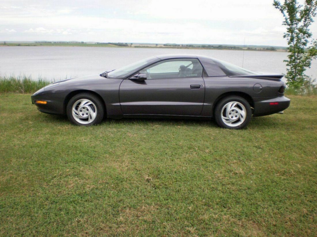 1993 Pontiac Firebird Trans Am 2dr Hatchback - photo 3