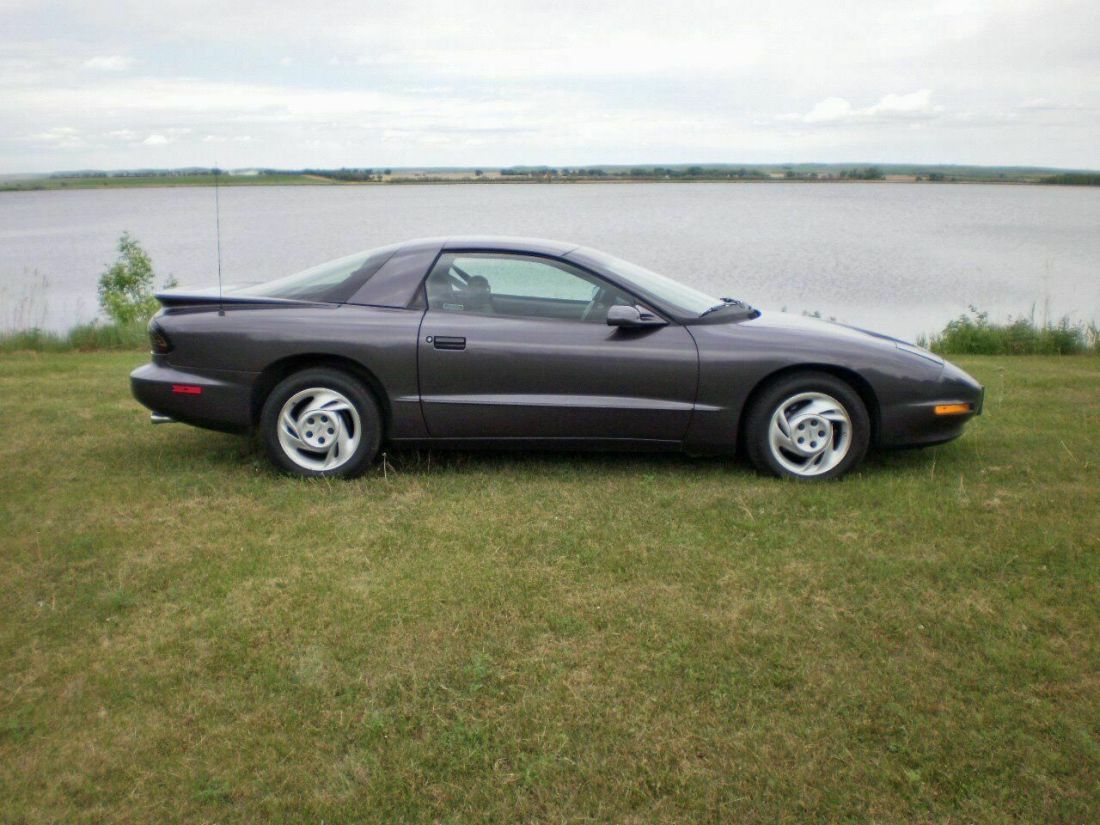 1993 Pontiac Firebird Trans Am 2dr Hatchback - photo 4