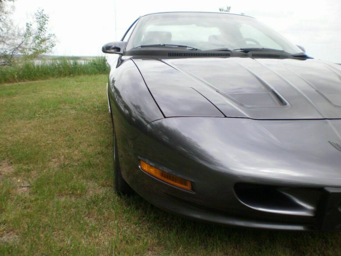 1993 Pontiac Firebird Trans Am 2dr Hatchback - photo 8