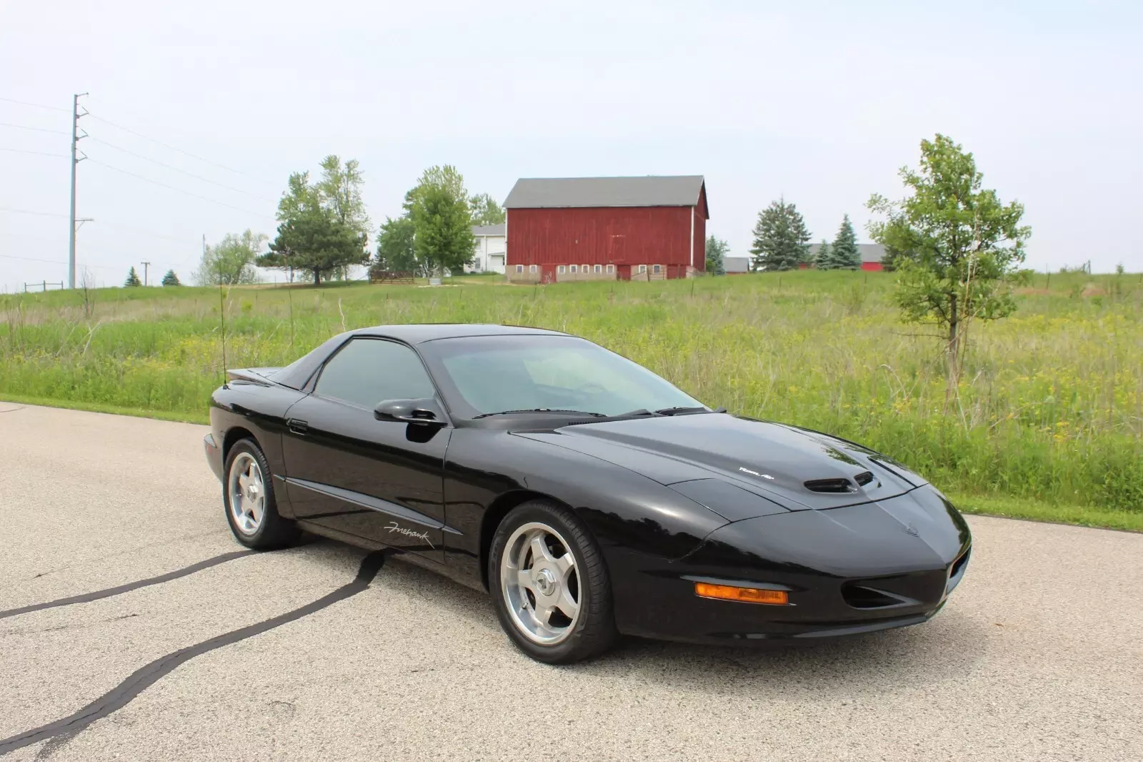 1993 pontiac firebird firehawk 1993 Pontiac Firebird