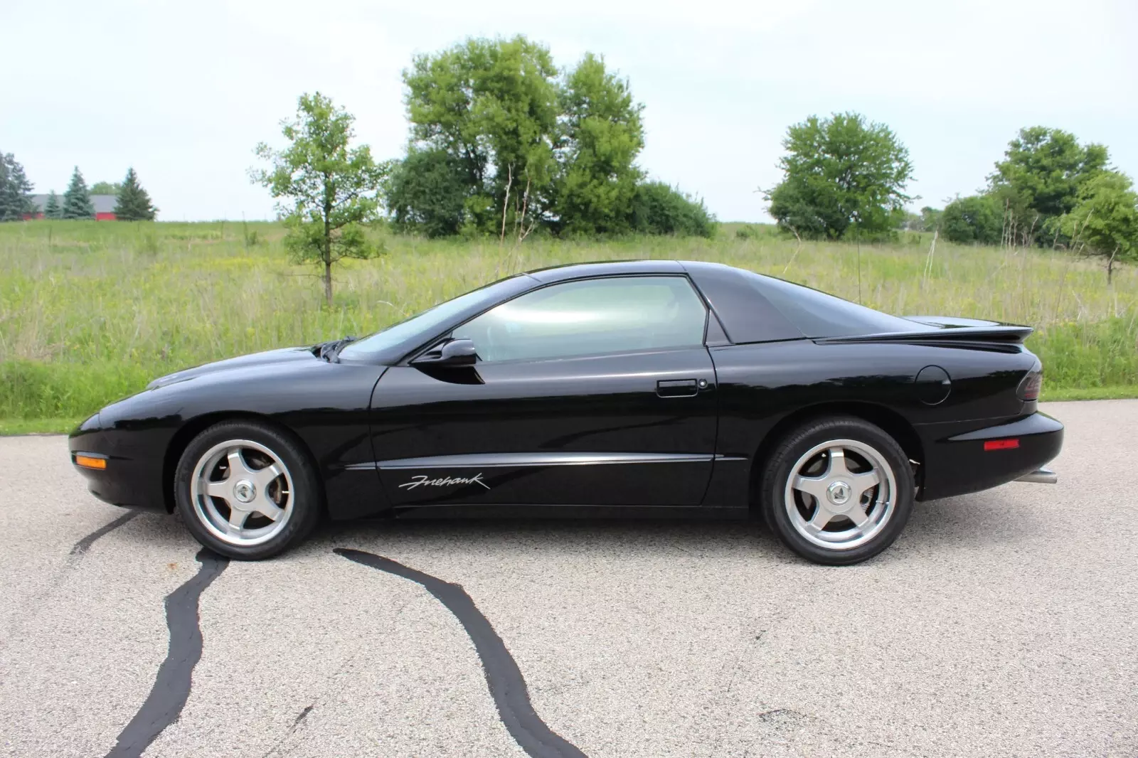1993 Pontiac Firebird - photo 4