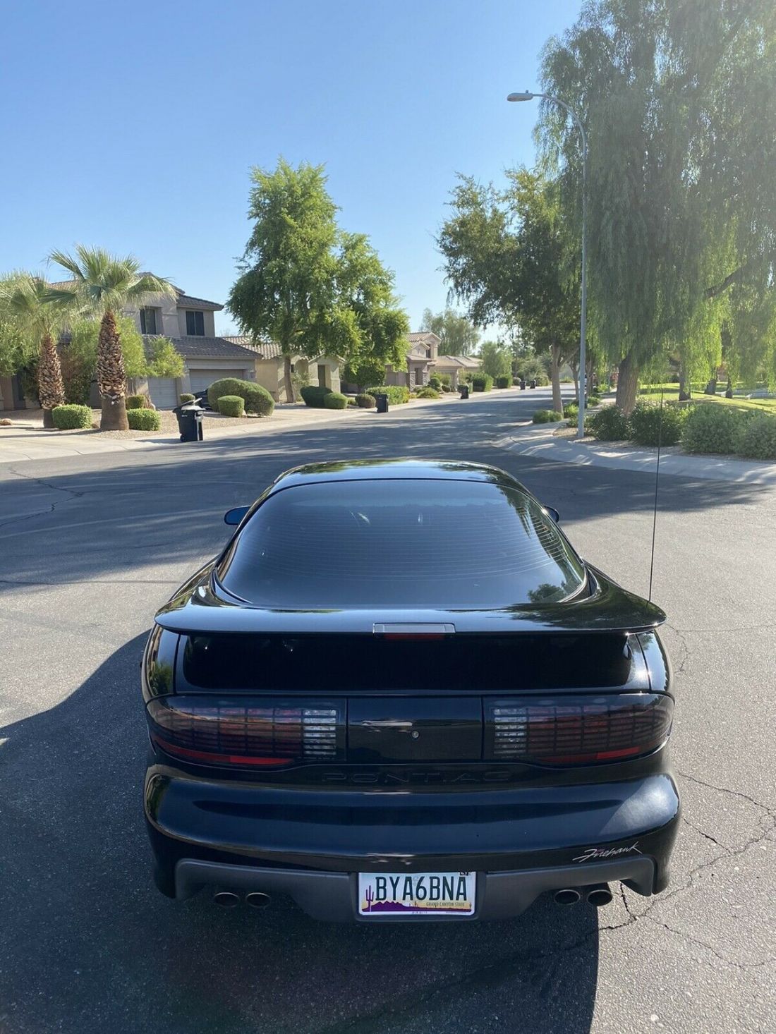 1993 Pontiac Firebird FORMULA - photo 6