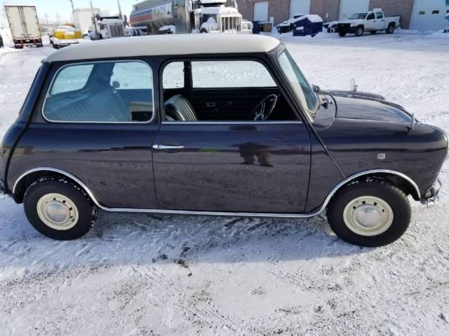 1991 Austin Mini Cooper 1275 SPI - photo 3