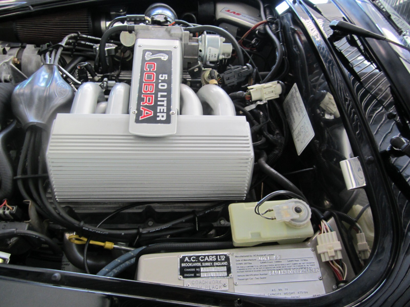1993 Shelby Cobra - photo 9