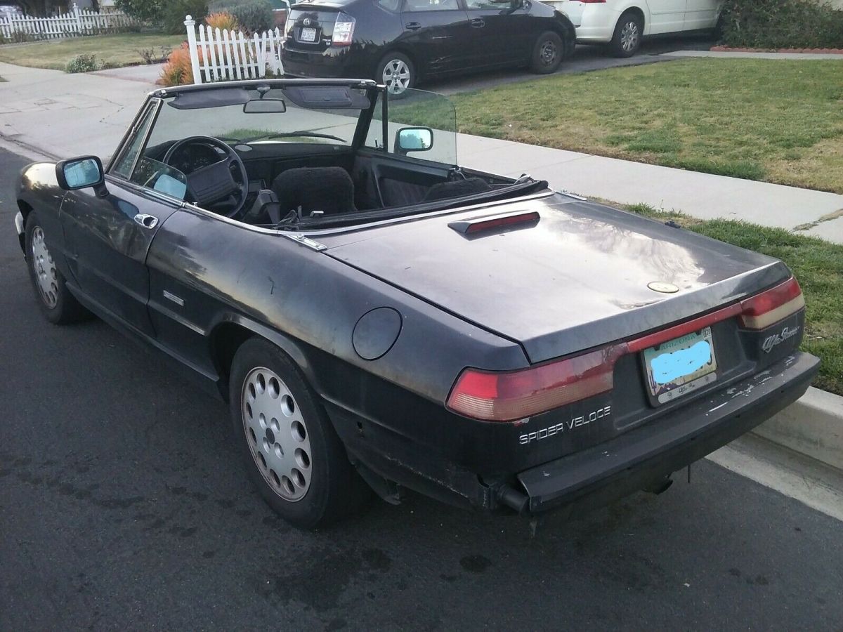1993 Alfa Romeo Spider - photo 3