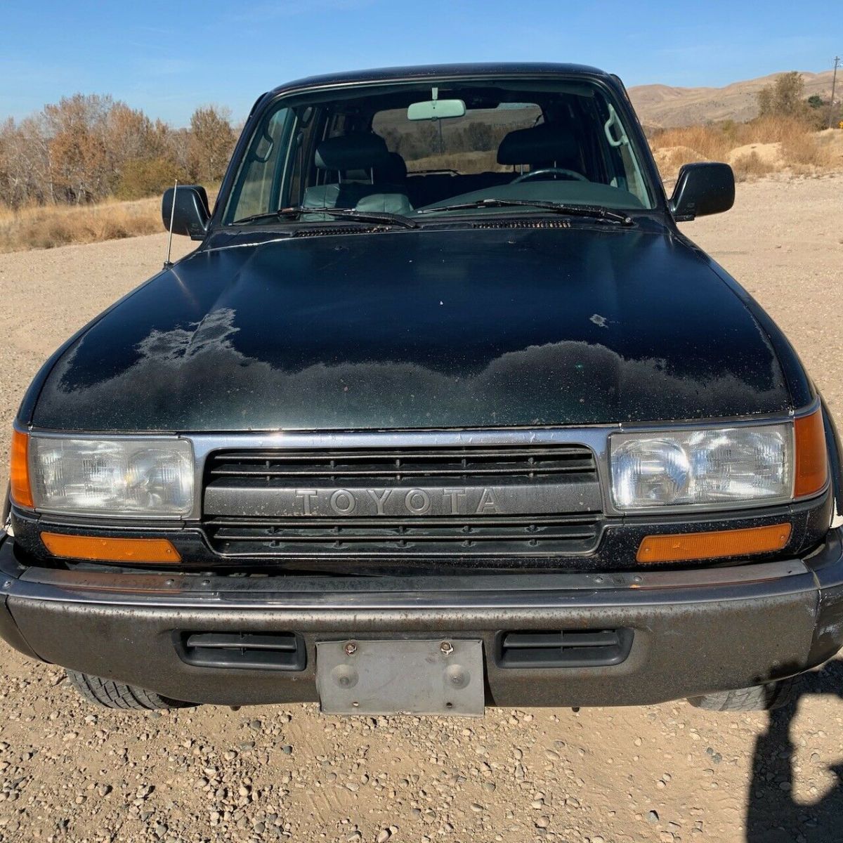 1993 Toyota Land Cruiser - photo 8