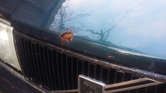 1993 Volvo 240 - photo 11