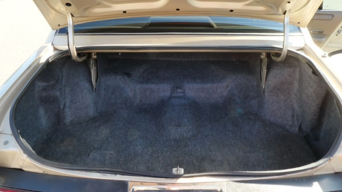 1994 Buick Roadmaster - photo 7