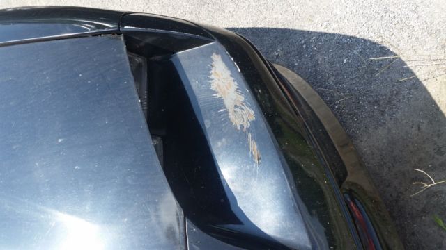 1994 Chevrolet Camaro - photo 6