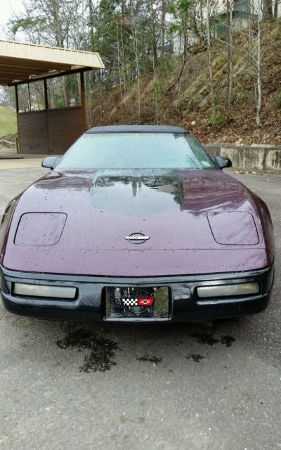 1994 Chevrolet Corvette Convertible, beyond expectations! No Reserve 1994 Chevrolet Corvette Base Convertible 2-Door