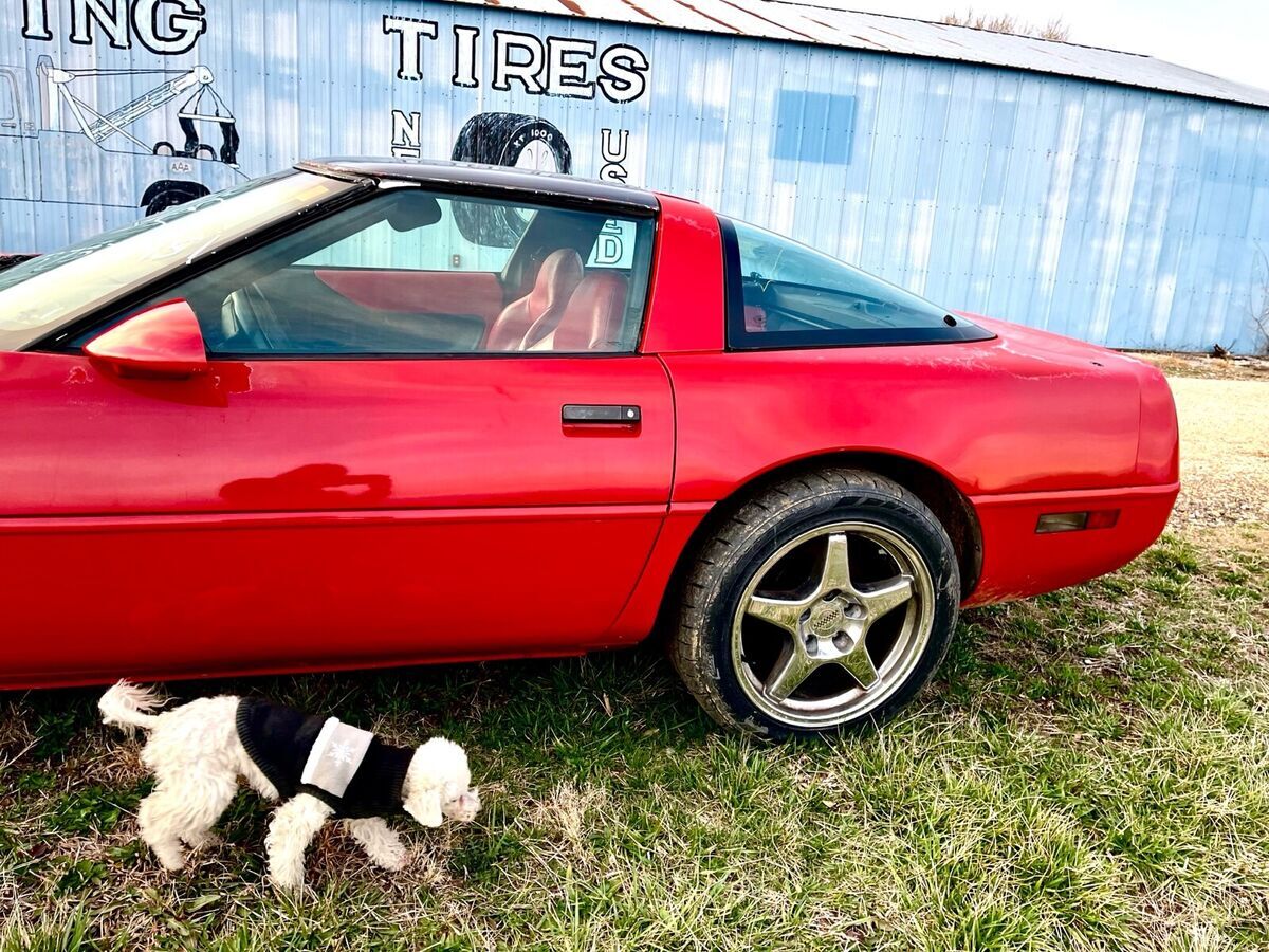 1994 Chevrolet Corvette - photo 9