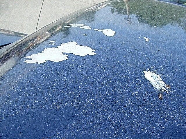 1994 Chevrolet Blazer - photo 10