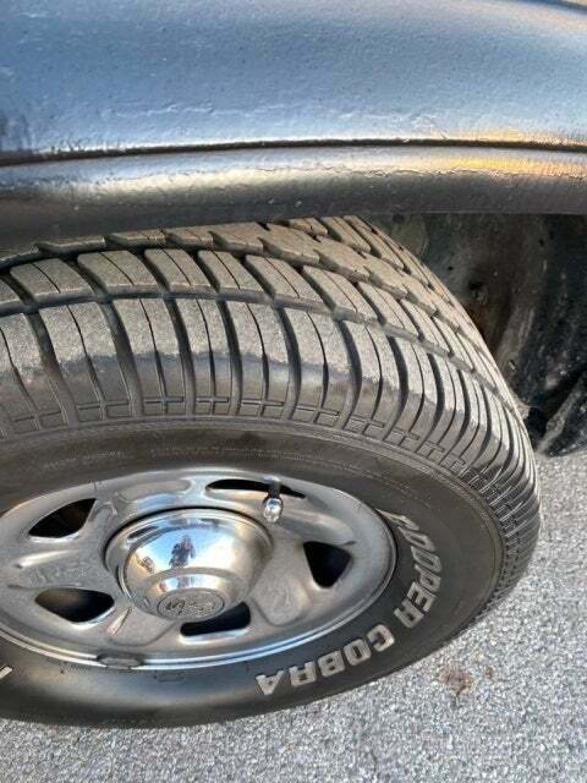 1994 Dodge Dakota - photo 4