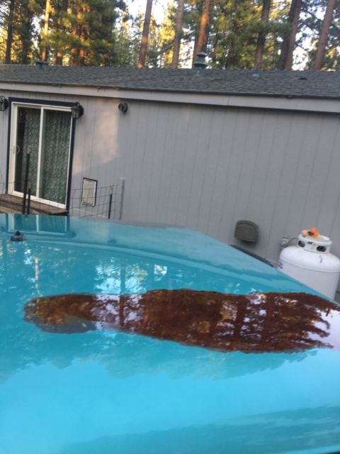 1994 Ford F-250 - photo 4