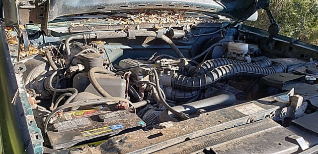 1994 Ford F-250 XL - photo 5