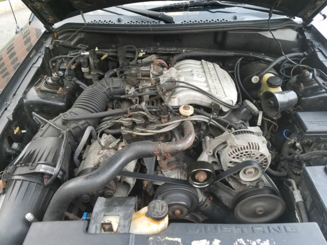 1994 Ford Mustang V6 - photo 11