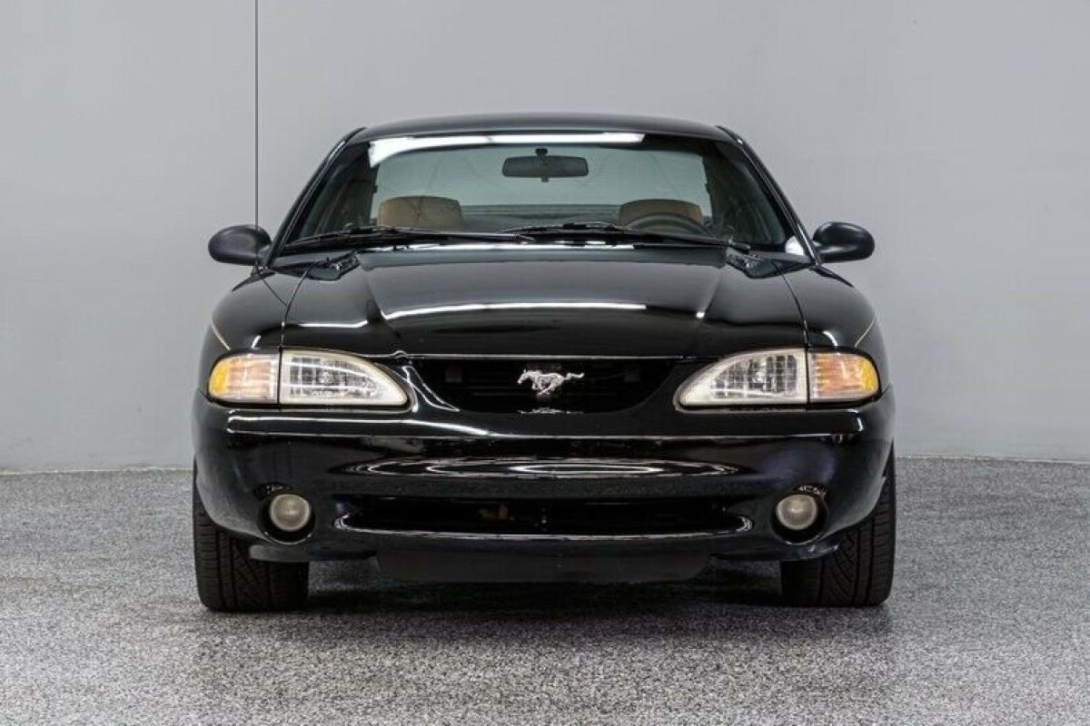 1994 Ford Mustang Cobra - photo 5