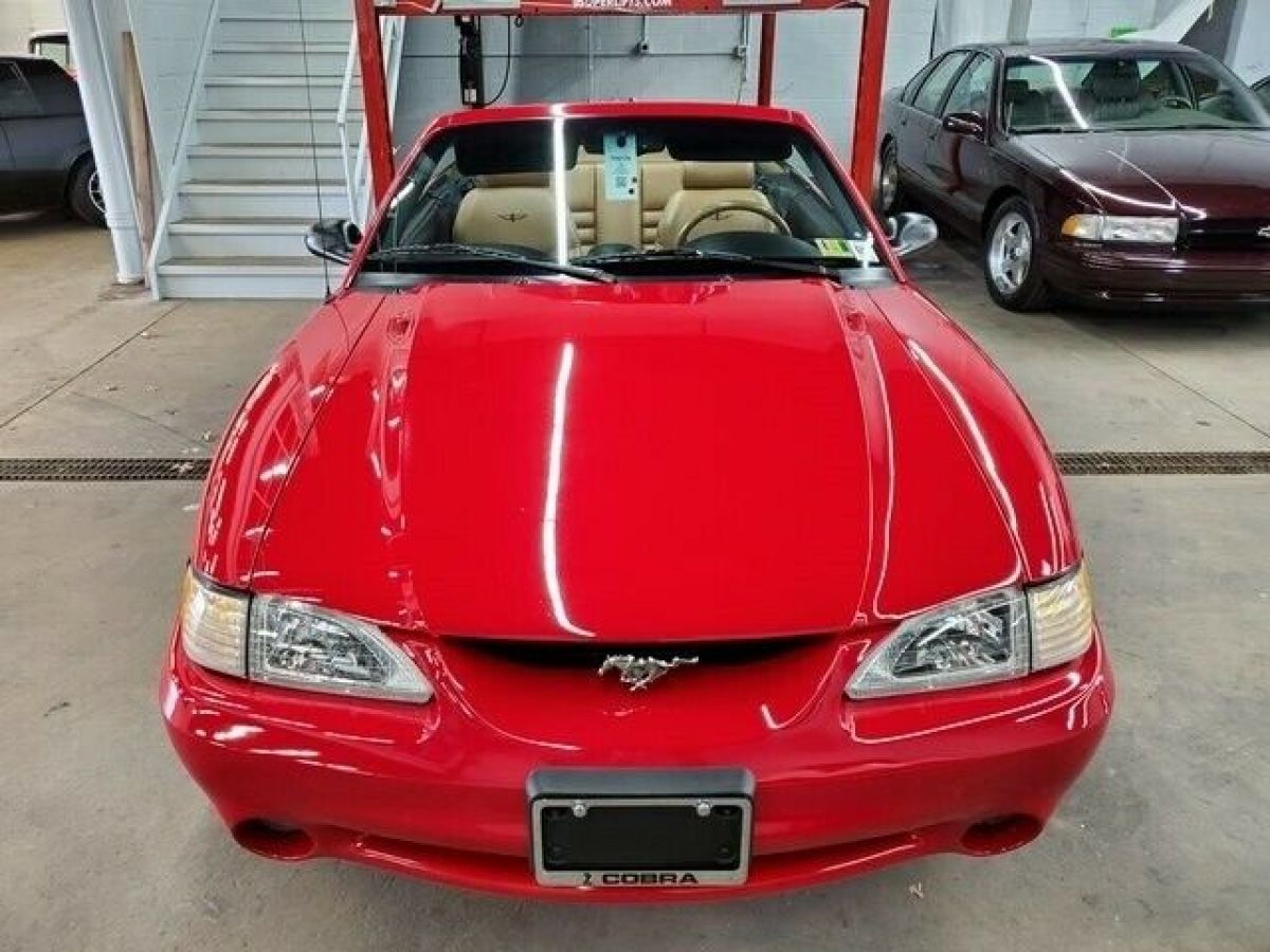 1994 Ford Mustang Cobra - photo 12