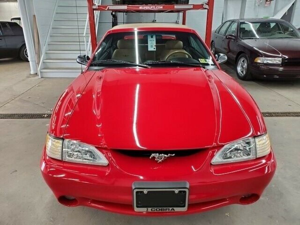 1994 Ford Mustang Cobra - photo 6