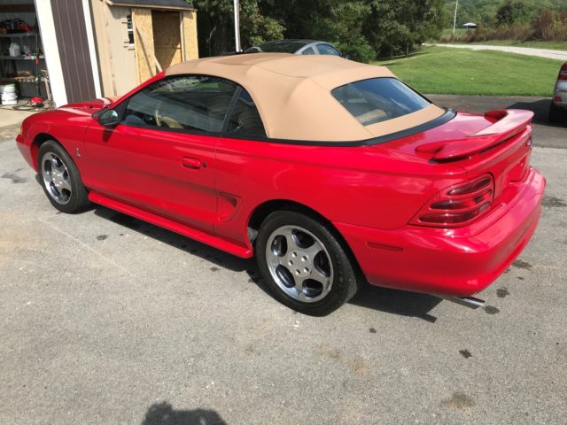 1994 Ford Mustang Cobra - photo 6