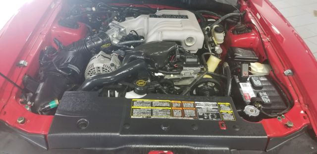 1994 Ford Mustang Cobra - photo 2