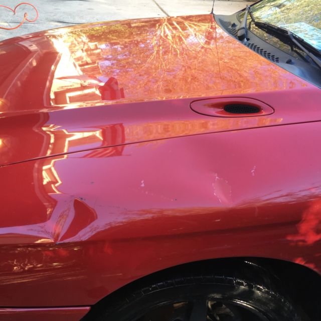 1994 Ford Mustang 2 Dr Coupe - photo 9