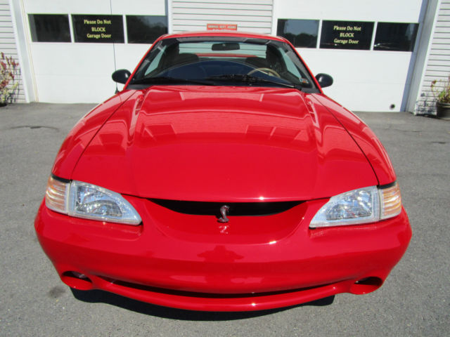 1994 Ford Mustang SVT Cobra - photo 3