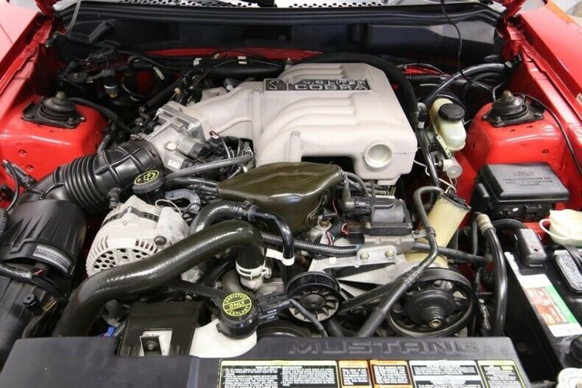 1994 Ford Mustang SVT Cobra Indy 500 Pace Car Edition - photo 4