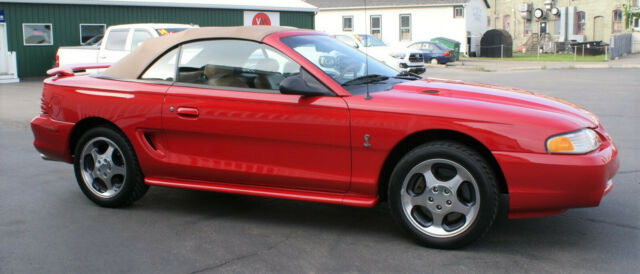 1994 Ford Mustang SVT Cobra - photo 5