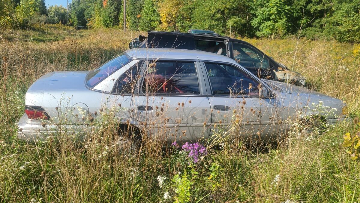 1994 Ford Tempo - photo 2