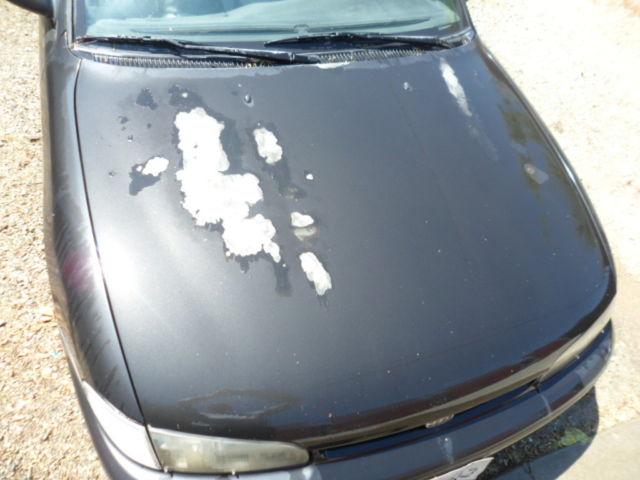 1994 Chevrolet Prizm black - photo 6