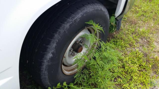 1994 GMC Sierra 1500 SL Reg. Cab 6.5-ft. Bed 2WD - photo 10