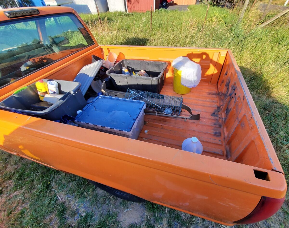 1994 GMC Sierra 1500 C1500 - photo 10