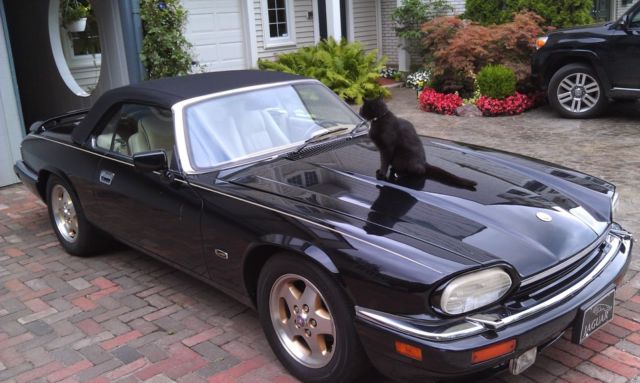 1994 Jaguar XJS convertible 2+2 (Last 12 cylinder model) - Collectible 1994 Jaguar XJS Convertible 2+2