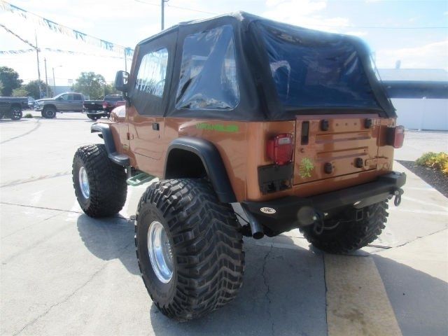 1994 Jeep Wrangler Custom Jeep - photo 4