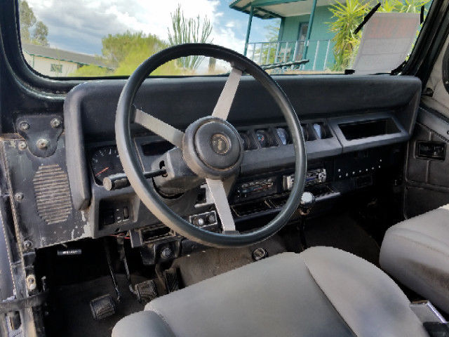 1994 Jeep Wrangler custom - photo 3