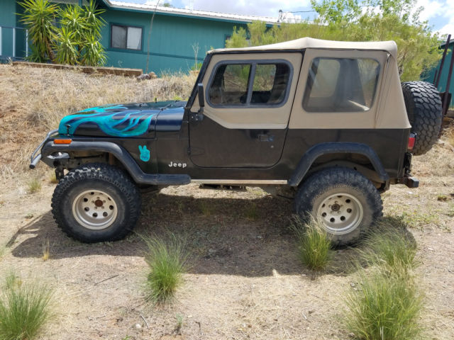 1994 Jeep Wrangler custom - photo 6