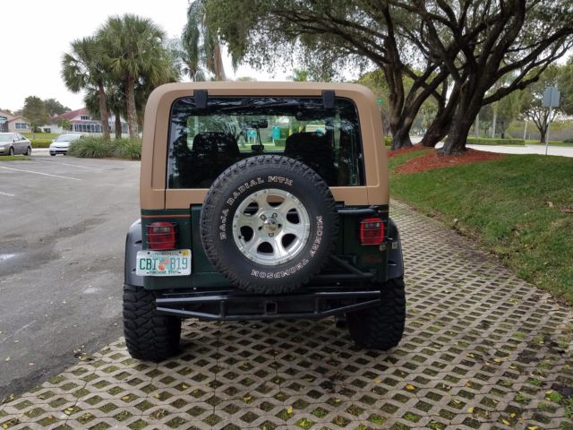 1994 Jeep Wrangler Sahara - photo 6