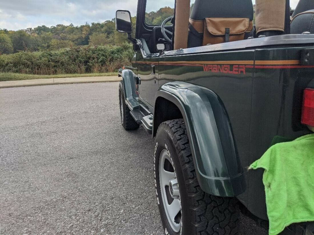 1994 Jeep Wrangler SAHARA - photo 9