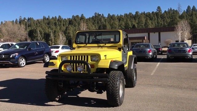 1994 Jeep Wrangler SE - photo 3
