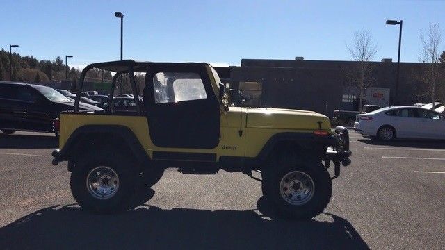 1994 Jeep Wrangler SE - photo 9