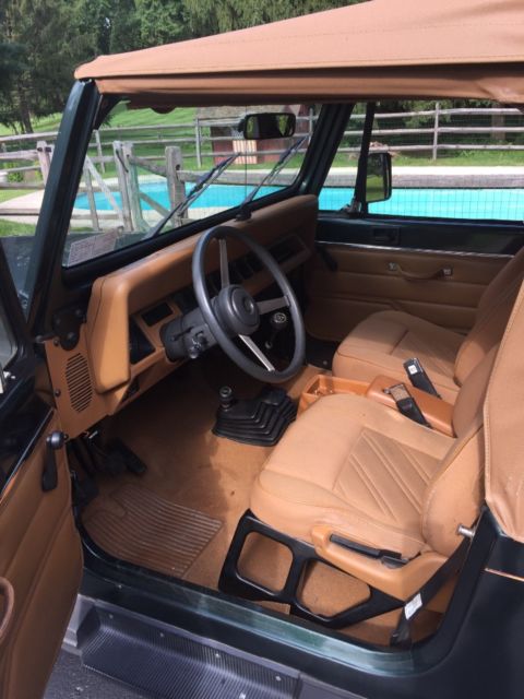 1994 Jeep Wrangler SE - photo 6