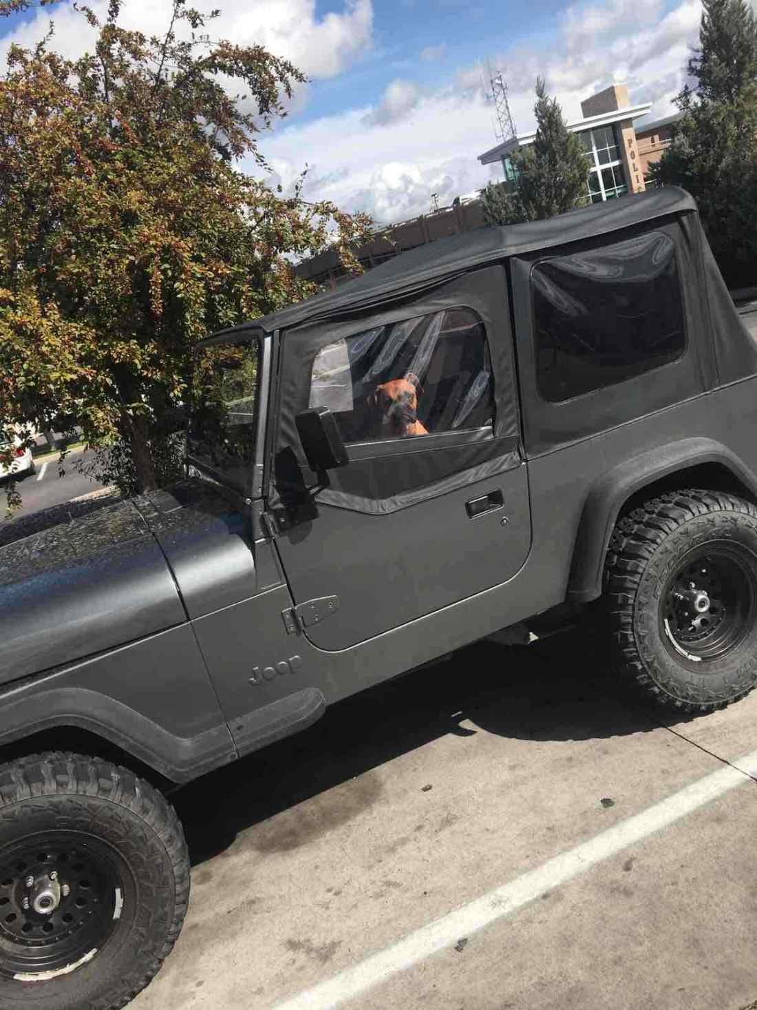 1994 Jeep Wrangler S