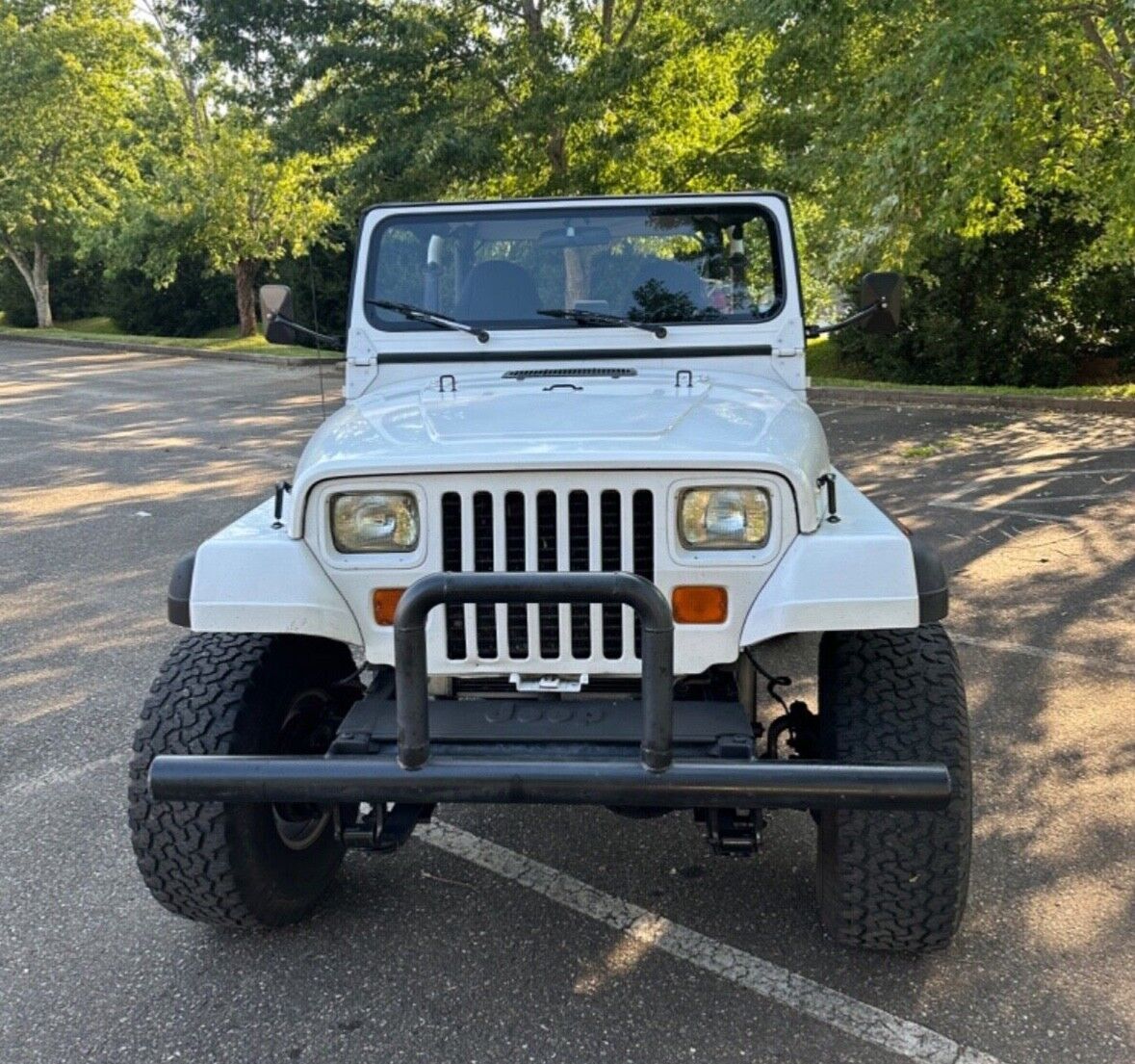 1994 Jeep Wrangler Sport ( Chevy Engine Swap) - photo 6