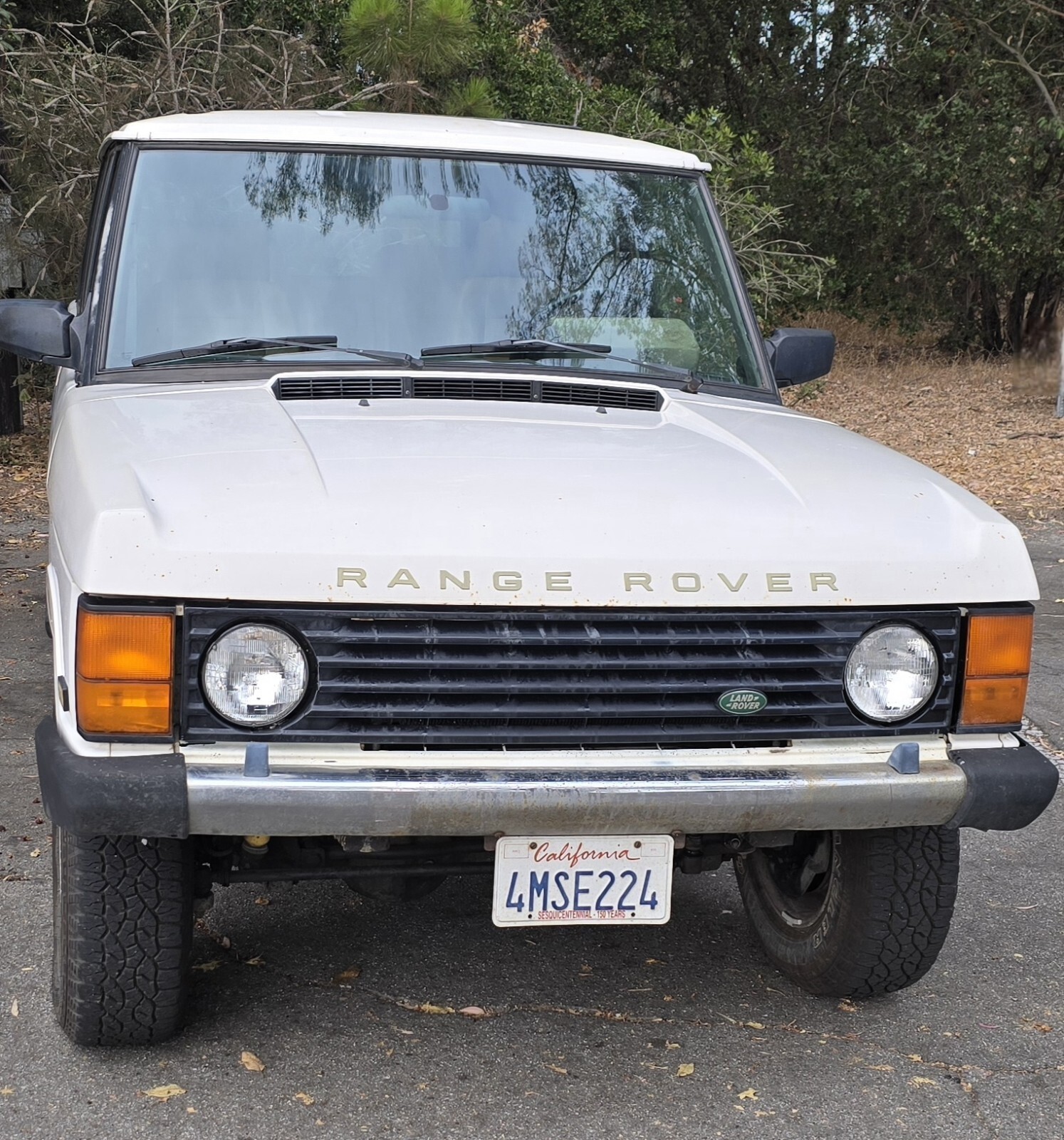 1994 Land Rover Range Rover LONG WHEELBASE - photo 4