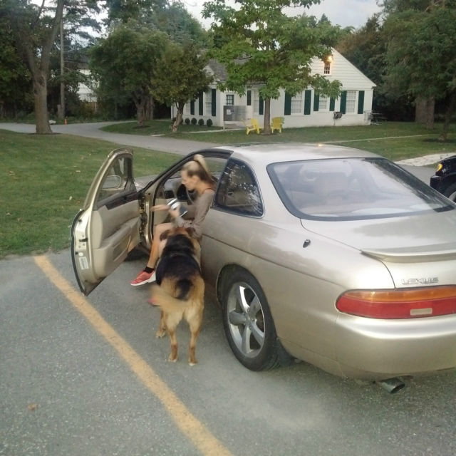 1994 Lexus SC - photo 2
