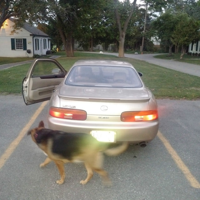 1994 Lexus SC - photo 4