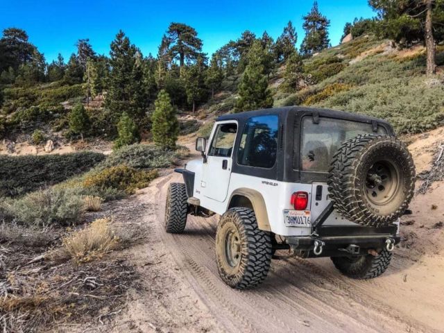 1994 Jeep Wrangler - photo 3