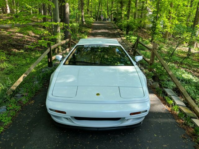 1994 Lotus Esprit rear spoiler, side skirts,valence panels original - photo 2