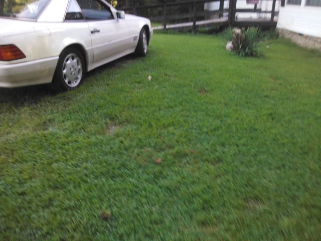 1994 Mercedes-Benz SL-Class 320 Roadster - photo 4